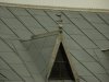 DSCF5203.JPG