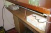 DSC03099.jpg