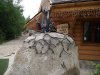 DSCF5267.JPG