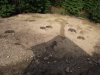 DSCF5310.JPG