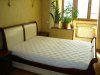 DSC01221.jpg