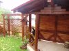 PA200366.jpg