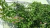 DSC02199.jpg