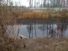 IMG_0123.jpg