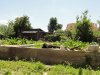 DSC06476.jpg