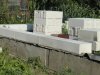 DSC07167.jpg
