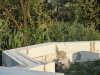 DSC07186.jpg