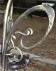 DSC00353.jpg