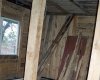 P1012184-1.jpg