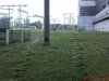 DSC01591.jpg