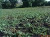 DSC01672.jpg