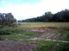 SNC00203.jpg