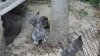 DSC01330.jpg