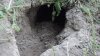 DSC01335.jpg