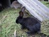 DSC01830.jpg