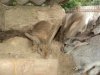 DSC01834.jpg