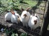 DSC01858.jpg