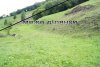 DSC08095.jpg
