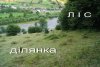 DSC07082.jpg
