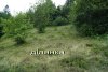 DSC07072.jpg