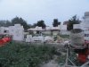 DSC07734.jpg