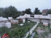 DSC07742.jpg