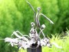 AVPROF MetalArt dance 1.JPG