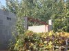 DSC05745.jpg