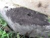 Чистка котла 003.jpg