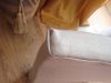 DSC05787.jpg
