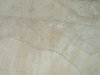 DSC01448.jpg