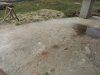 DSC01445.jpg