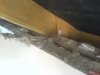 DSC01099.jpg