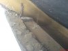 DSC01100.jpg