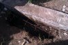 IMAG0250.jpg