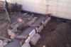 IMAG0287.jpg