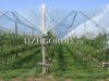 img_9024_fit_content_width_watermark.jpg