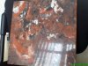 DSC00124.JPG