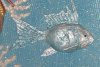 море 002.jpg22.jpg
