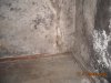 DSCN0264.JPG