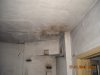 DSCN0267.JPG