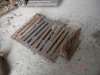 DSC08483.JPG