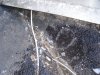 DSC04699.JPG