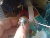 DSC00337.JPG
