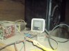 DSC00343.JPG