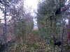 SDC12309.JPG