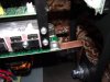 DSCF3872.JPG