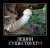 Леший существует.jpg