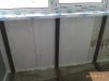 IMAG1065.jpg