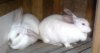 DSC00041.JPG